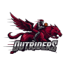 Outriders
