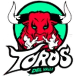 Toros del Valle