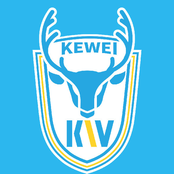 Dalian Kewei